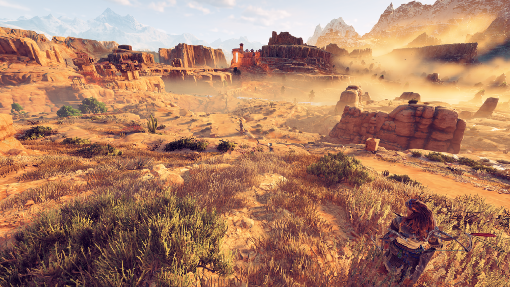 The vastness of the desert