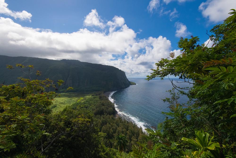 Waipi'o Valley