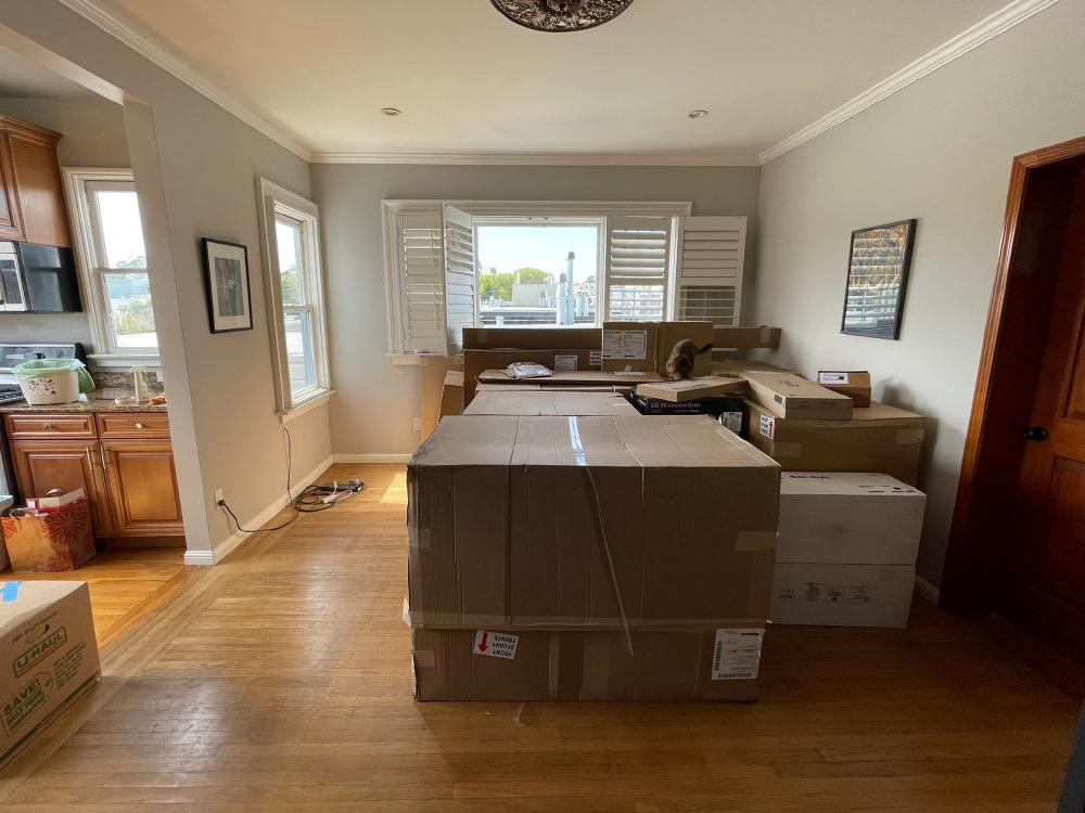 The living room of our apartment, full of slightly better stacked boxes. Cat for scale